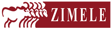 Zimele